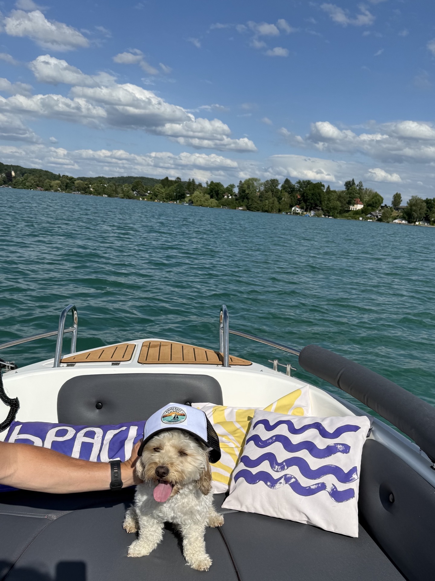 Ferdi — Hund und Abenteuer-Guide von Ammersee Escapes